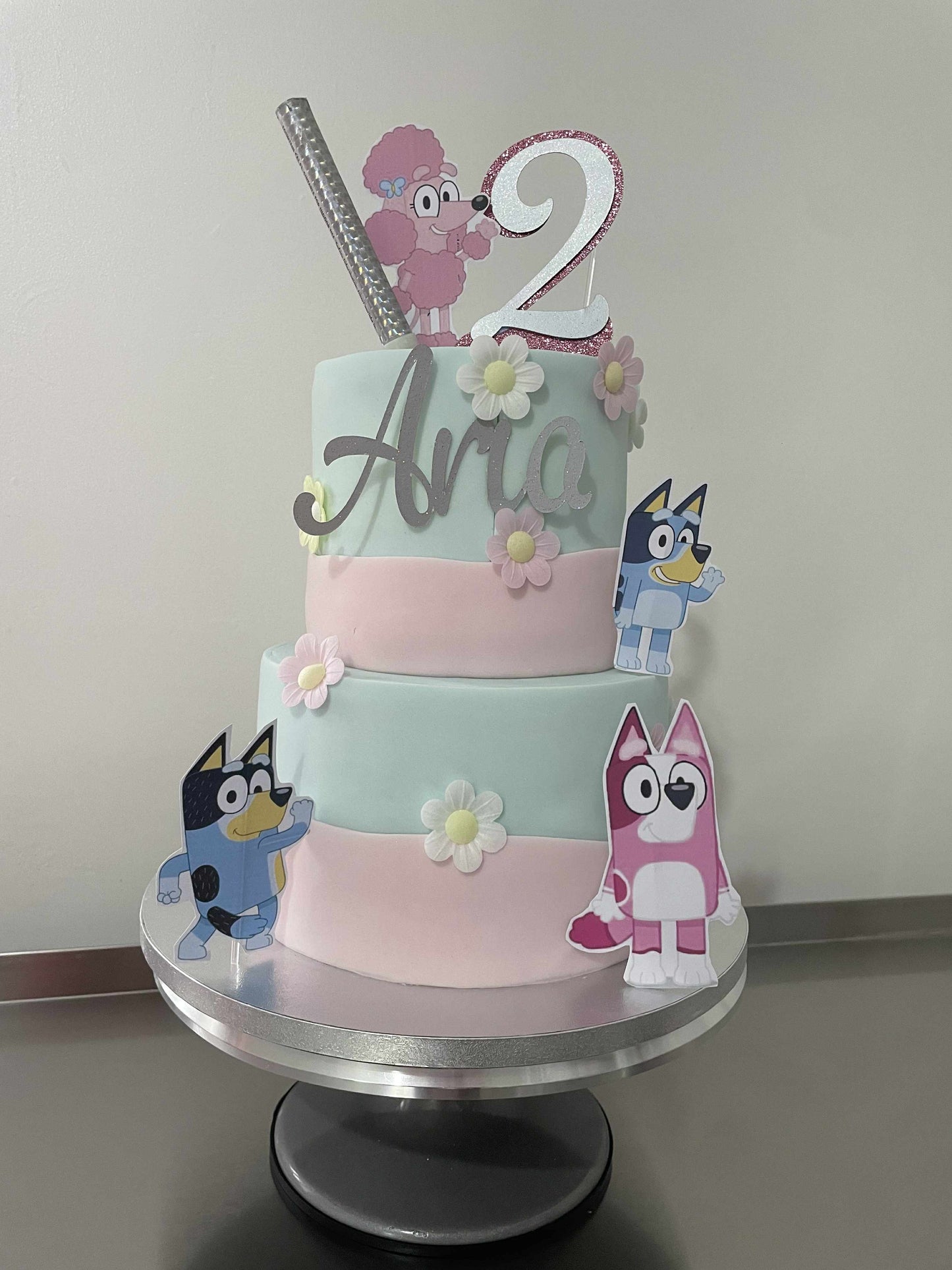Bluey Two-tier cake